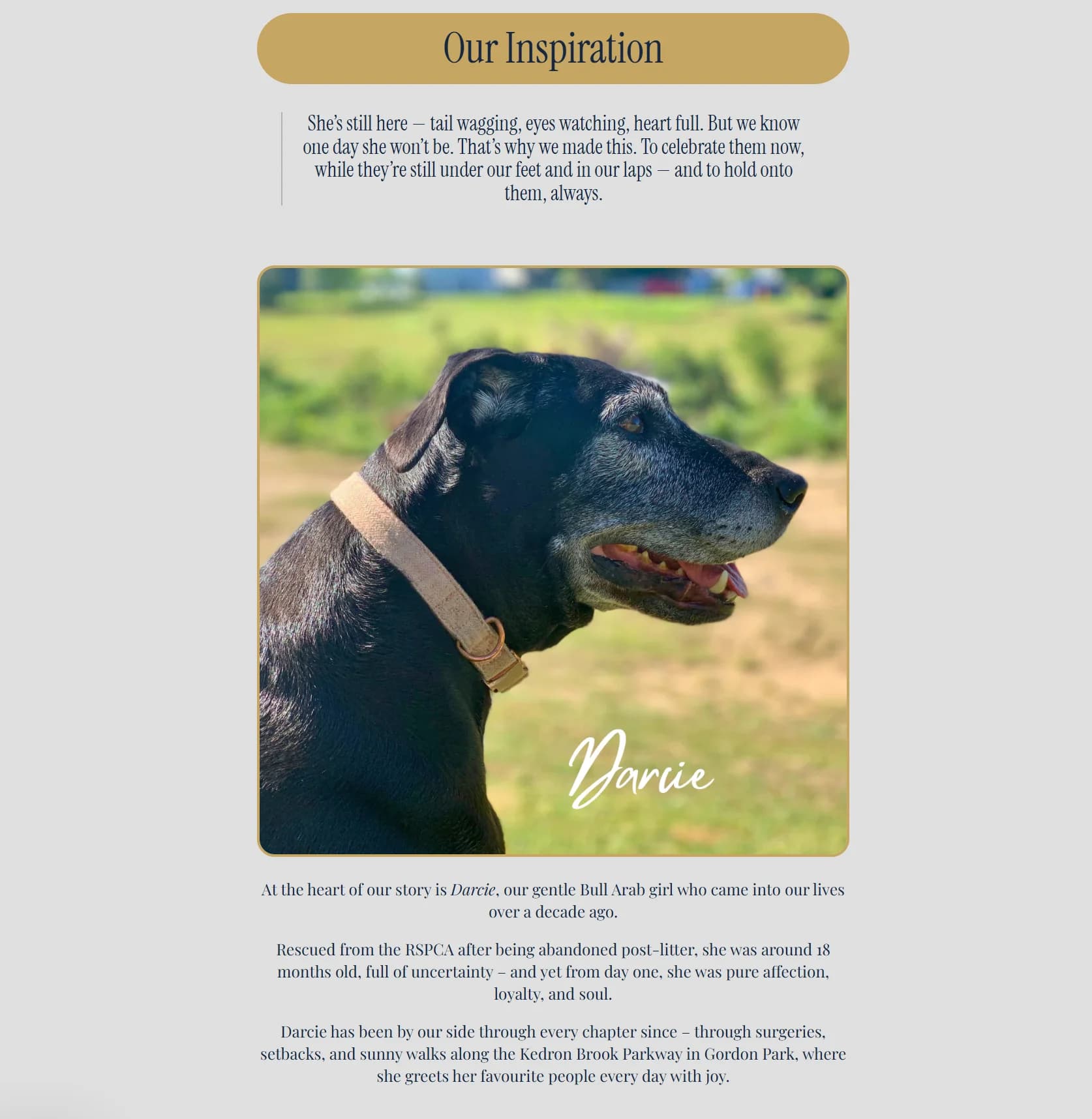 Fetch & Form 'Our Inspiration' page introducing Darcie, the rescue dog behind the brand
