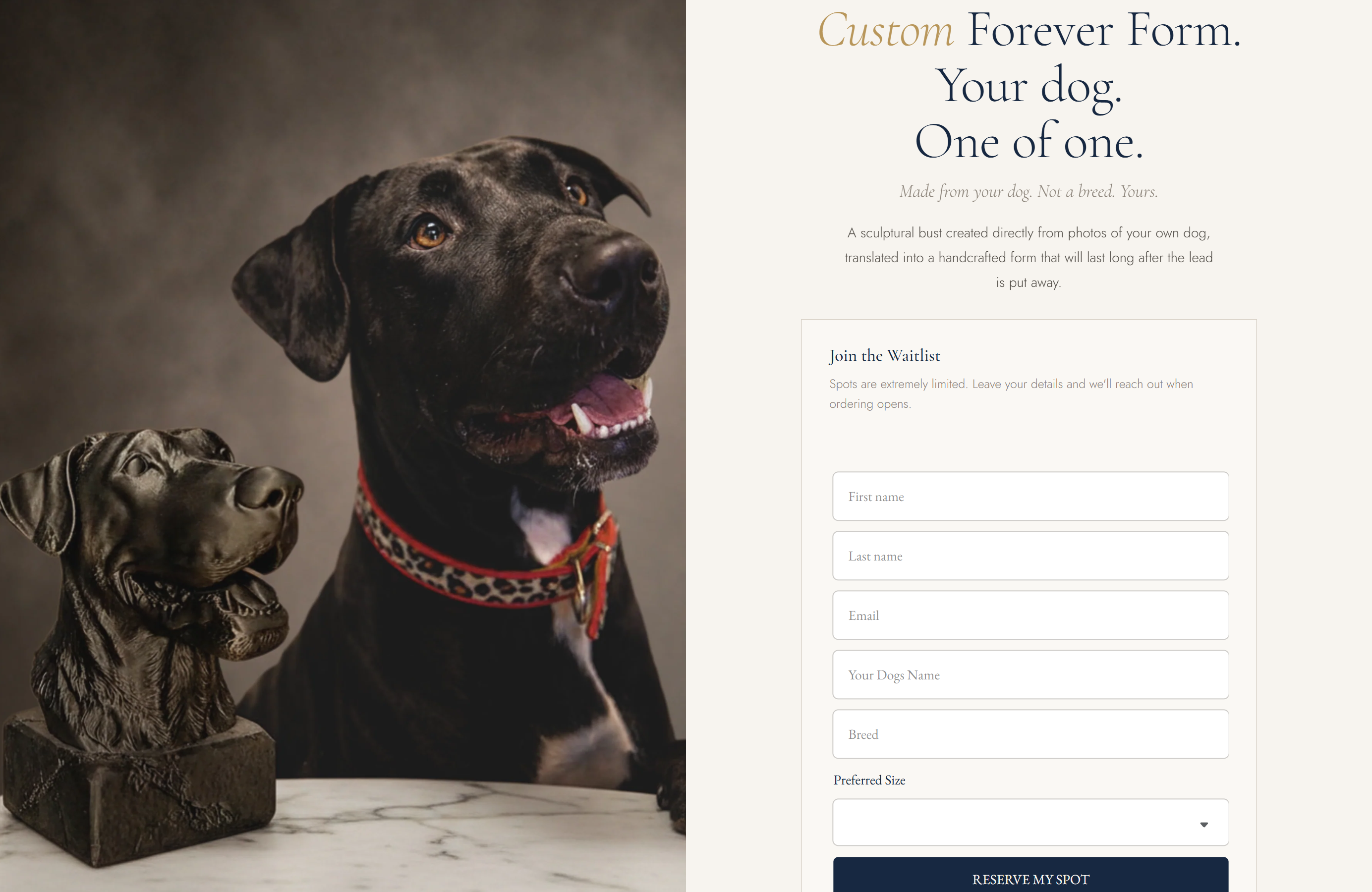 Fetch & Form — custom commission page with real dog alongside ceramic bust